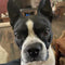 Customer avatar