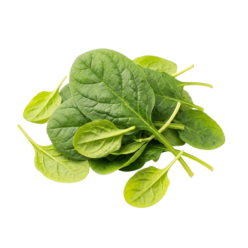 Ingredient 2