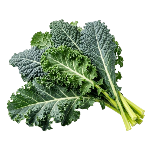 Ingredient 5